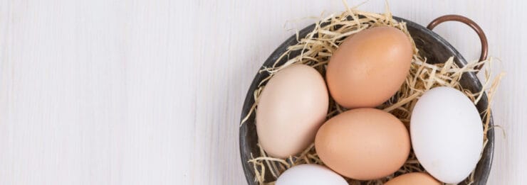 Thumbnail image of eggs-in-a-basket