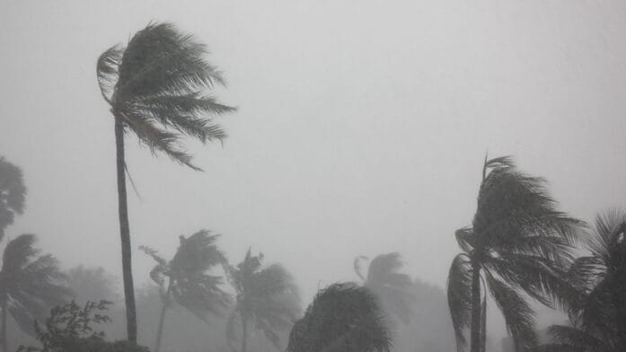 Thumbnail image of how-to-survive-hurricane