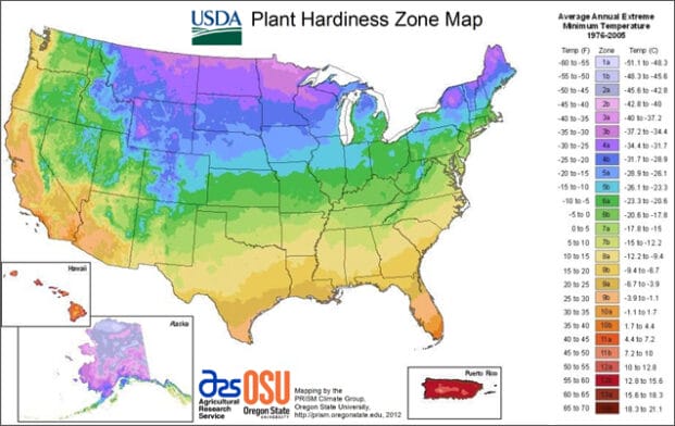 Thumbnail image of Planting Zones Hardiness