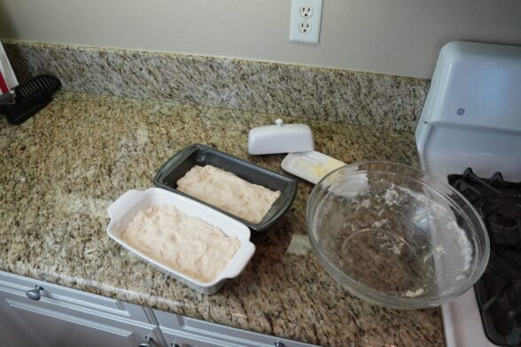 2nd rising wild yeast dough