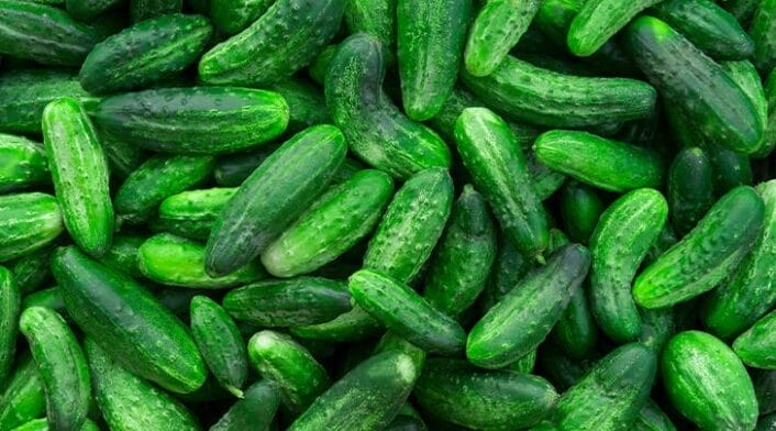 Thumbnail image of cucumbers