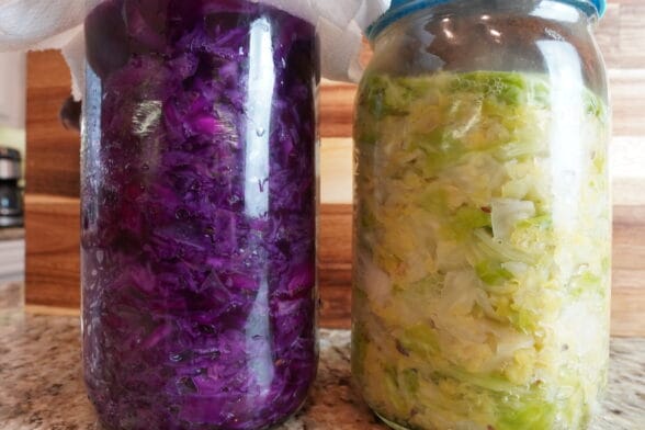 Sauerkraut DIY