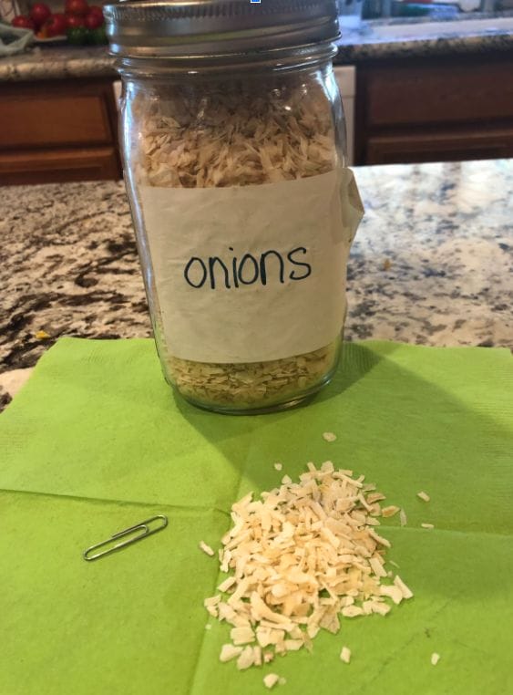 Prepper Onions