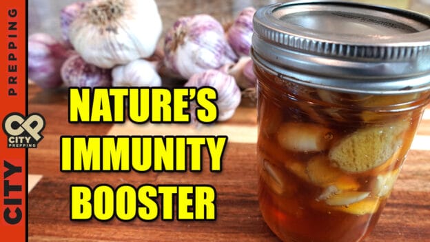 Nature’s Immunity Booster – Fermented Garlic Honey