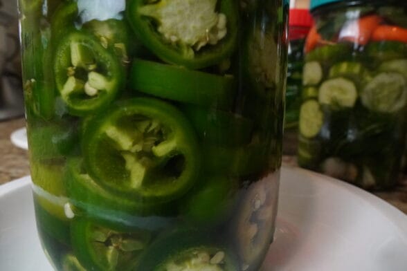 Prepper Pickled Purslane Peppers