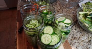 Making pickles