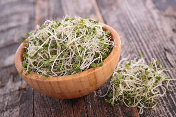 Thumbnail image of Broccoli,Sprouts
