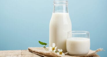 Milk - Powdered Milk