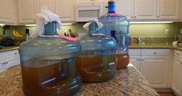 Three batches of mead using different yeasts
