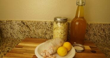 DIY Freeze-dried lemon powder with recipes for lozenges, candy, limoncello, and lemon pasta
