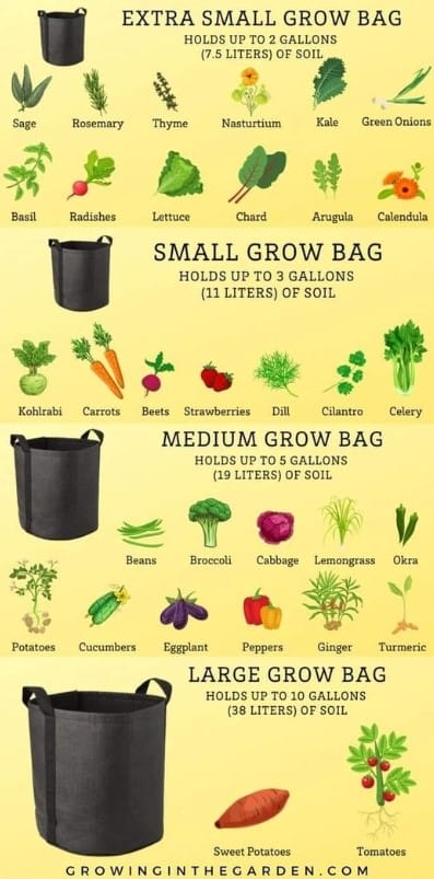 What to grow in grow pots