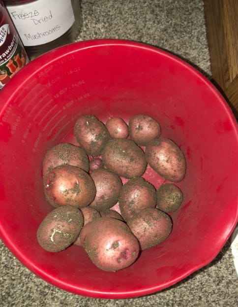 Garden Potatoes