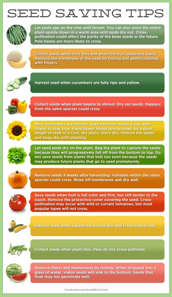 SeedSaving