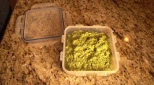 Hogweed Pesto