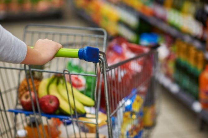 Food Water Essentials