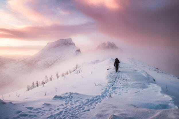 Trapped in the Snow: Surviving a Hike Gone Wrong