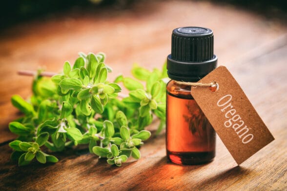 Thumbnail image of Oregano,Essential,Oil,And,Fresh,Leaves,On,Wooden,Background.,Tag