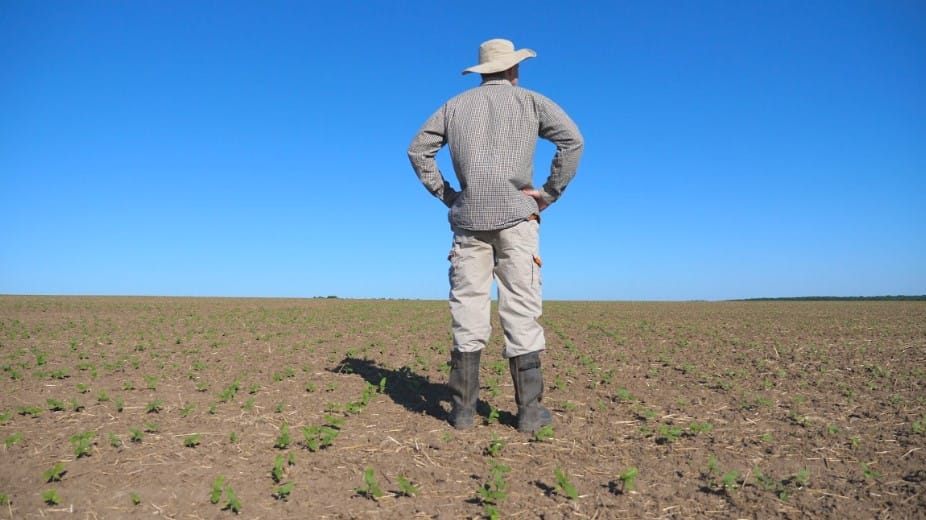 What Should You Do In Drought