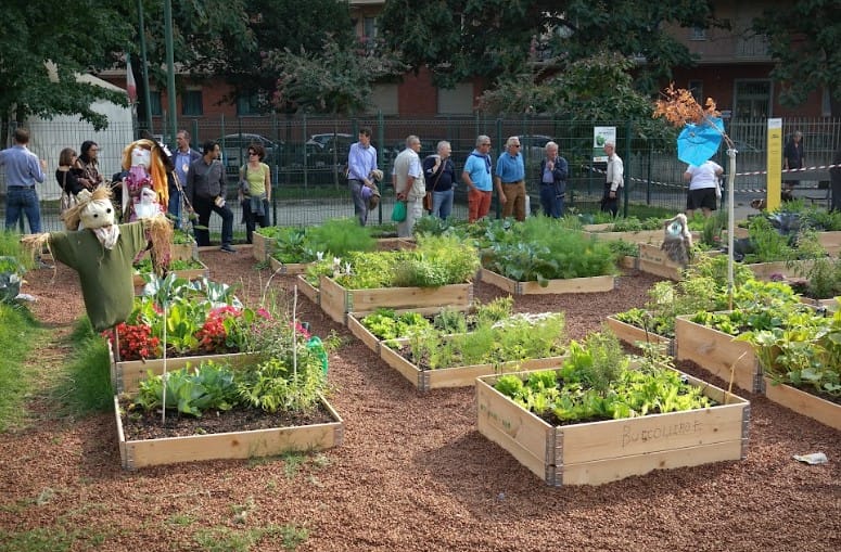 People Planting Food