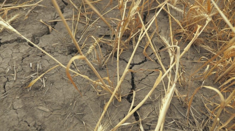 Record Breaking Weather