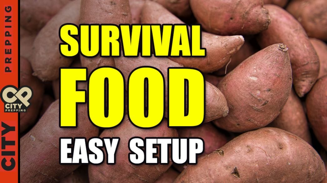 Survival Food Easy Setup