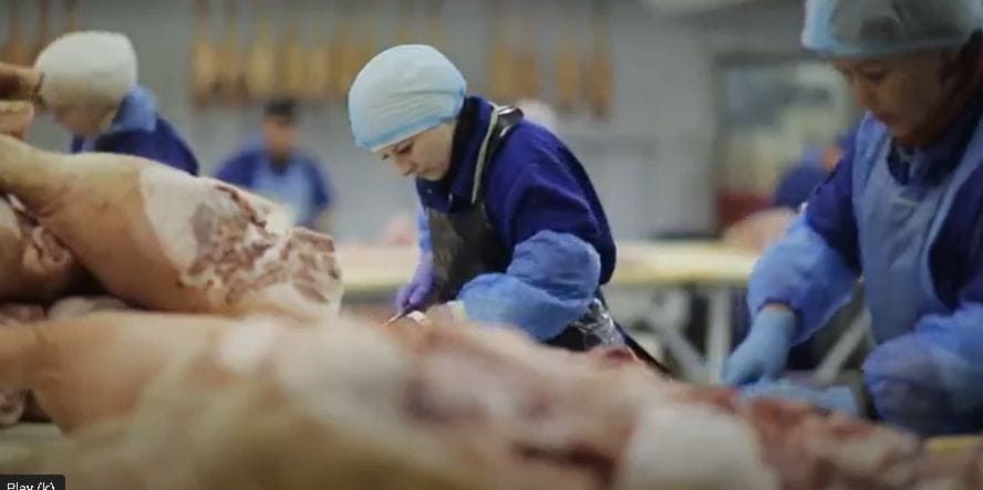Meat Supply Chain