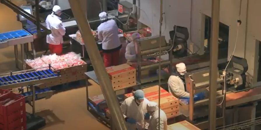 Import Export Shell Game