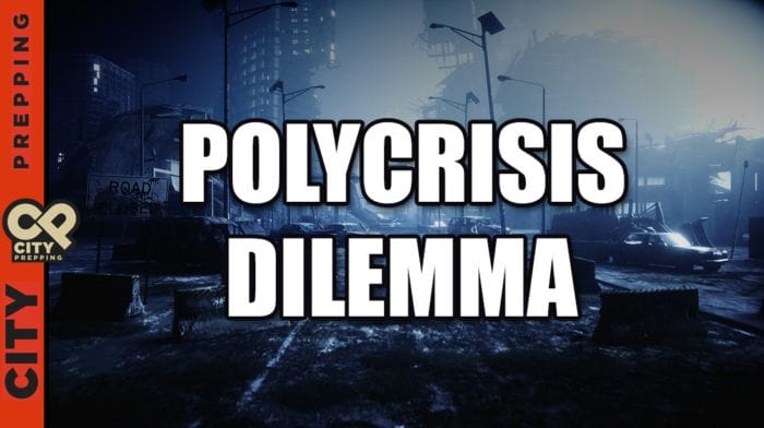 Thumbnail image of Polycrisis Dillemma
