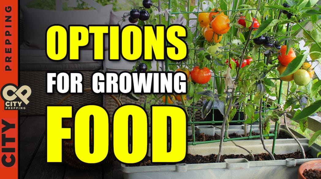 Options For Growing Food