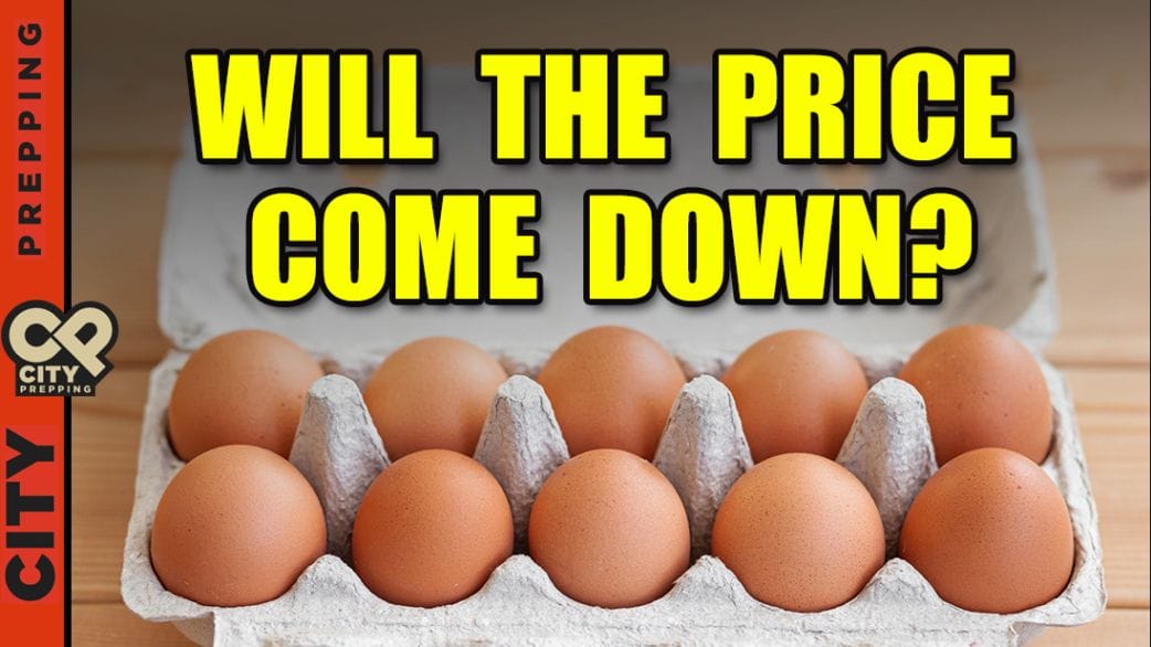 Egg Prices High