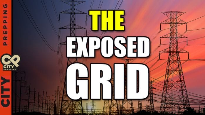 Thumbnail image of The Exposed Grid