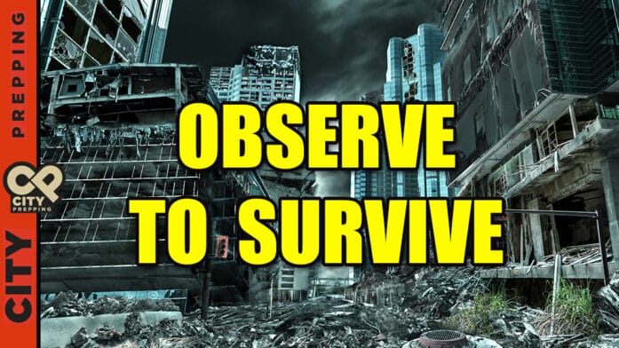 Thumbnail image of Observe To Survive