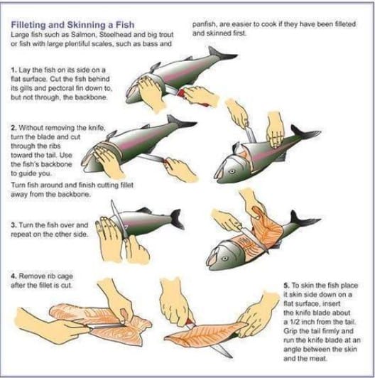 How to prep a fish