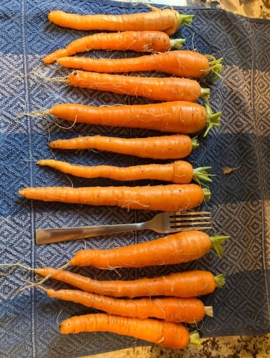 The Good Quality Carrots