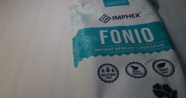 Fonio, super grain to save the world after climate change