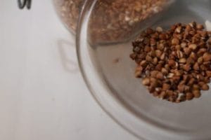 Buckwheat will be an alternative grain when modern agriculture fails