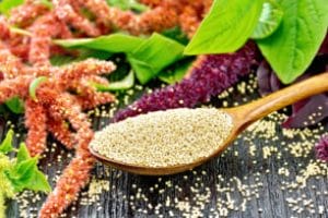 Amaranth - The prepper's grain to save the planet, complete protein source.
