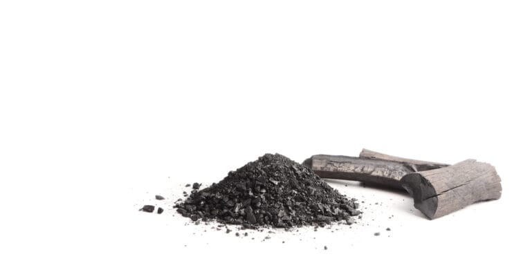 Charcoal for water filtration