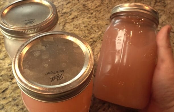 Homemade Pectin