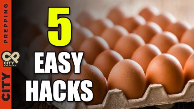 5 Ways To Preserve Eggs For Long-Term Storage