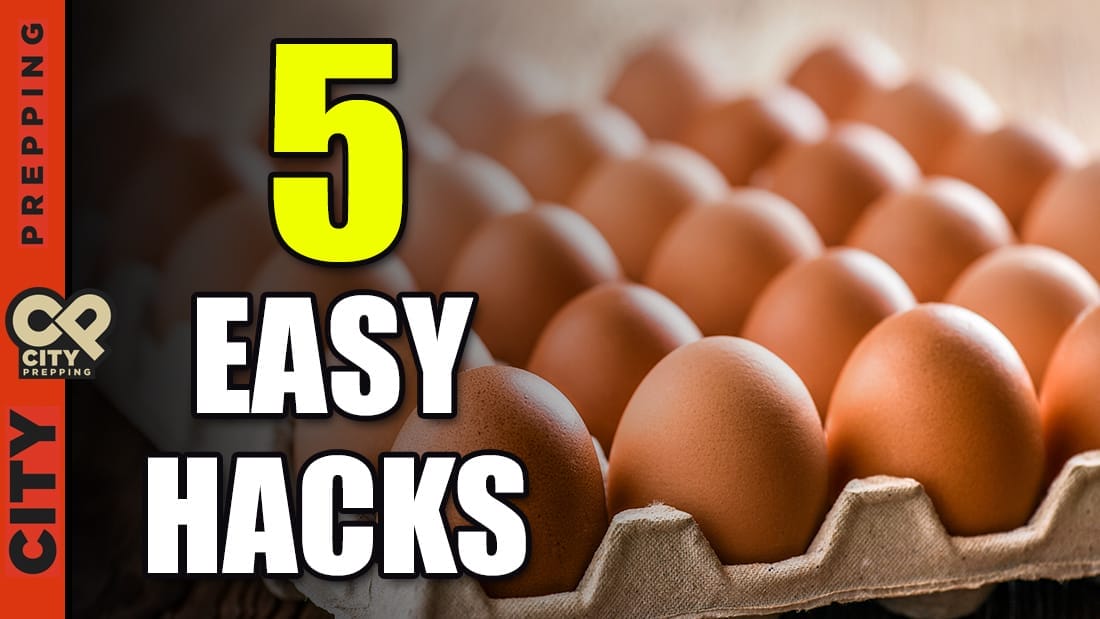 Egg Preservation Hacks