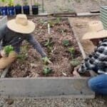 Group logo of 1 Week Gardening Course